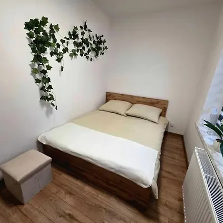 Апартаменты - Nad Drweca